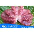 Health Certificate Seafood frozen octopus